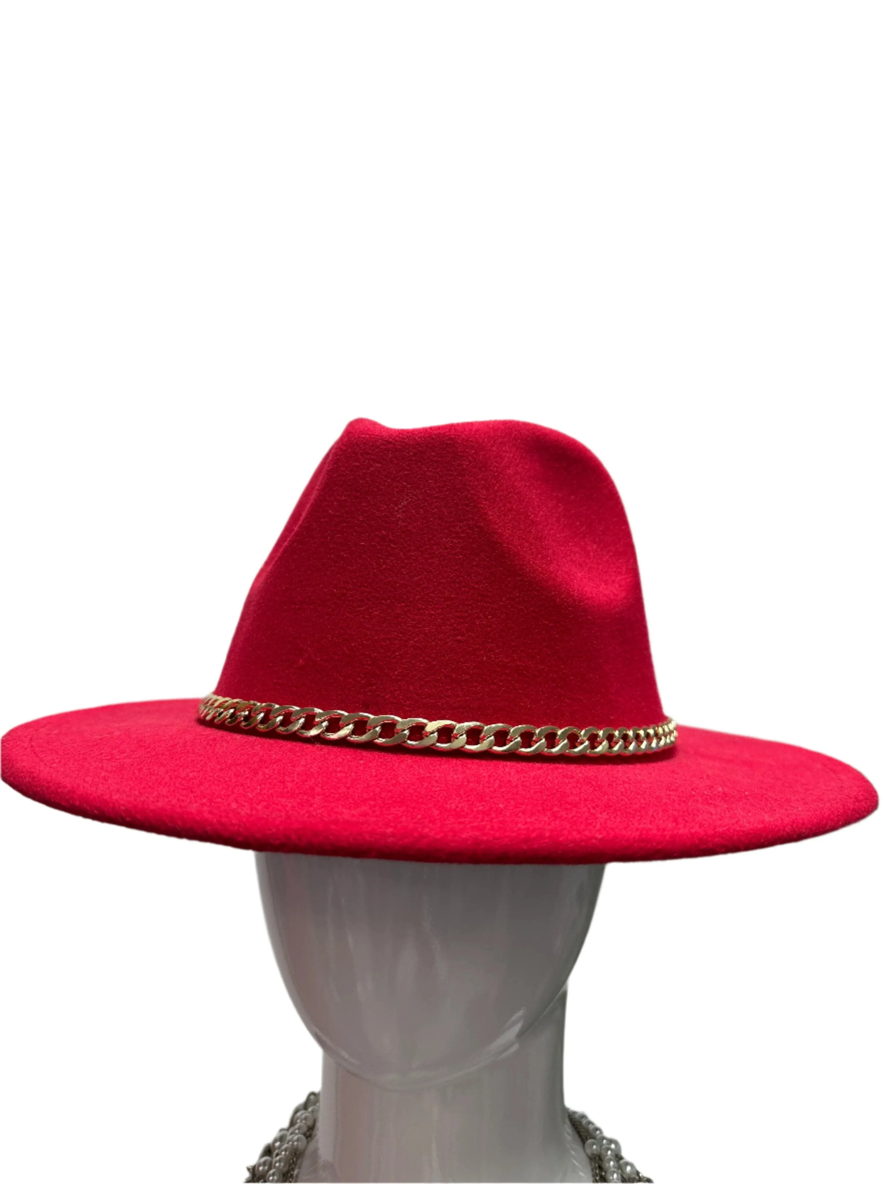 Trendy  Panama Hat